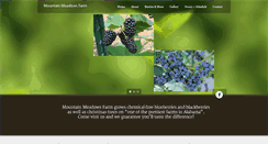 Desktop Screenshot of mountainmeadowsfarmal.com