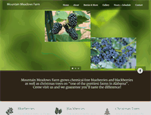 Tablet Screenshot of mountainmeadowsfarmal.com